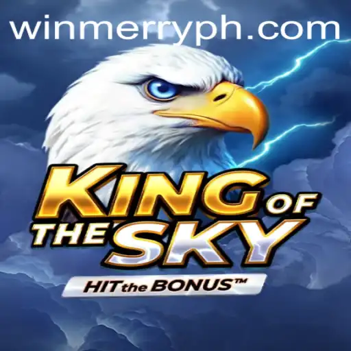 KingOfTheSky: Exploring the Virtual Realm of Merryph Players
